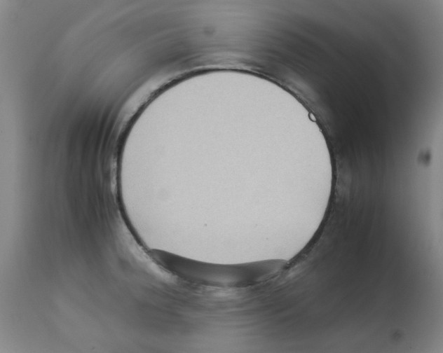 X0000113221188200910221118