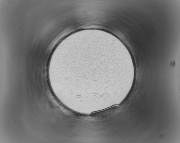 X0000113221189200910221118