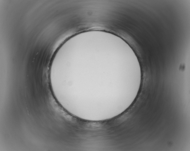 X0000113221190200910221118
