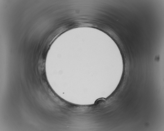 X0000113221193200910221118