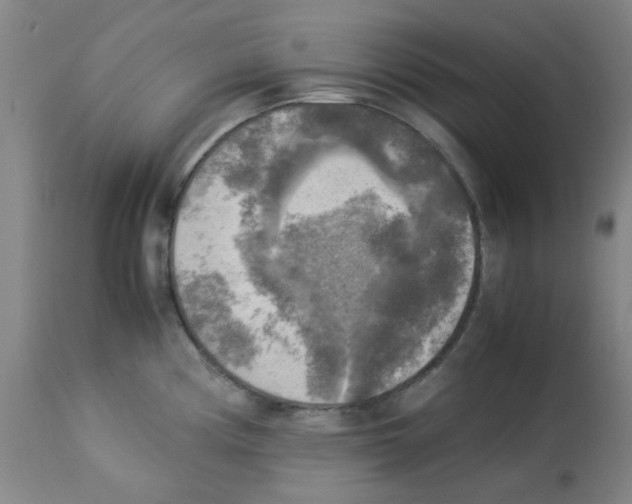 X0000113221194200910221118