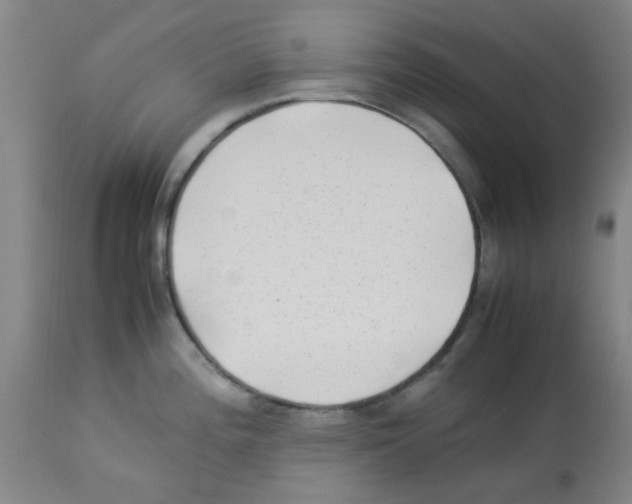 X0000113221196200910221118