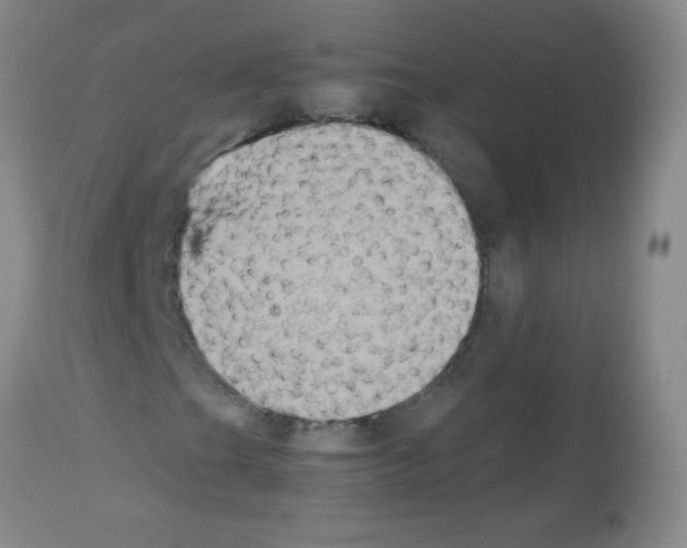 X0000113221201200910221117
