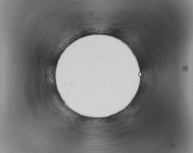 X0000113221202200910221117