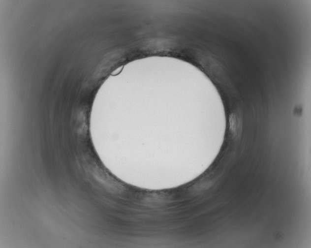 X0000113221203200910221117