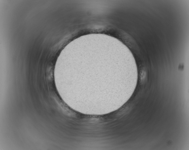 X0000113221204200910221117