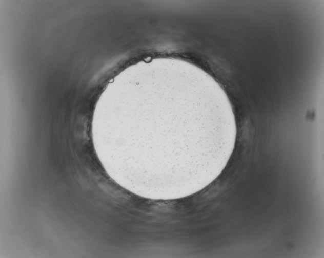 X0000113221205200910221117