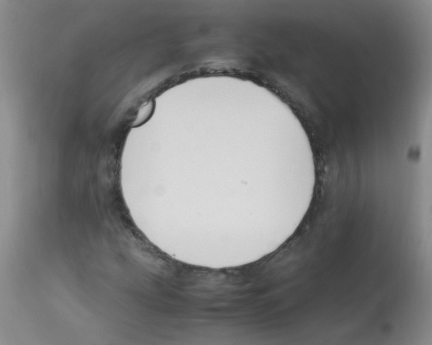 X0000113221207200910221117
