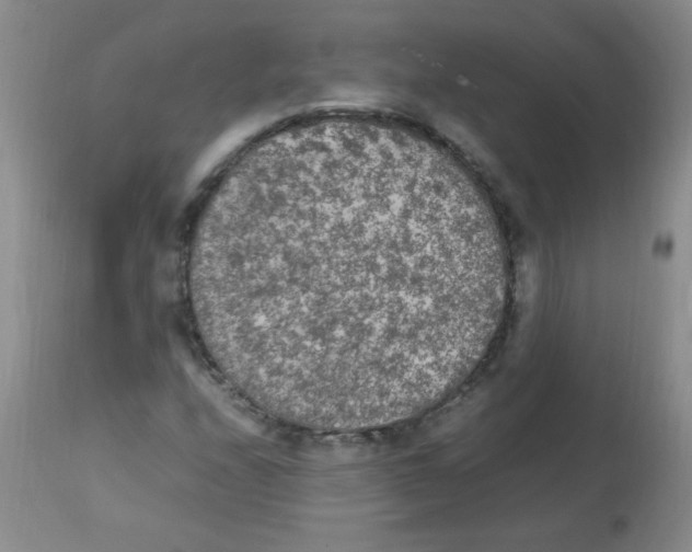 X0000113221208200910221117