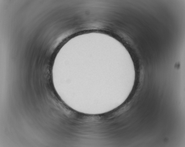 X0000113221210200910221117