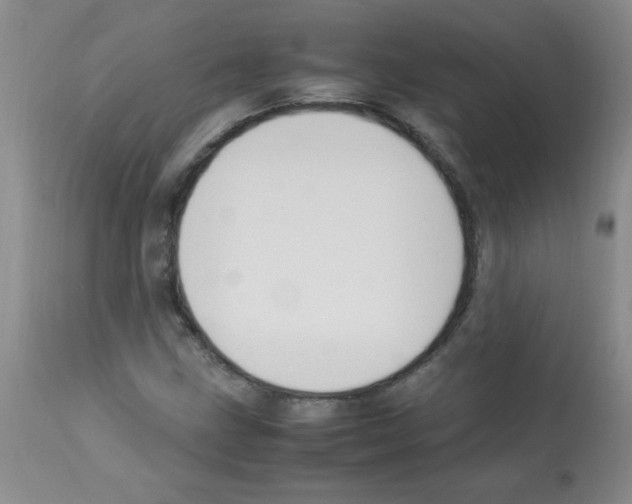 X0000113221211200910221117
