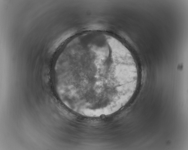 X0000113221213200910221117