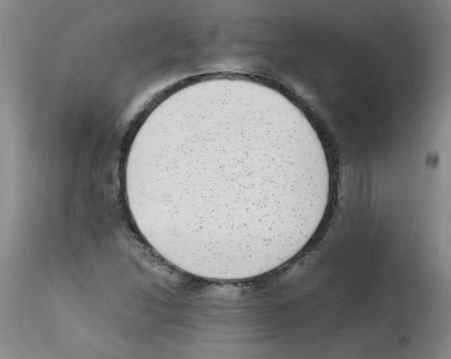 X0000113221214200910221117