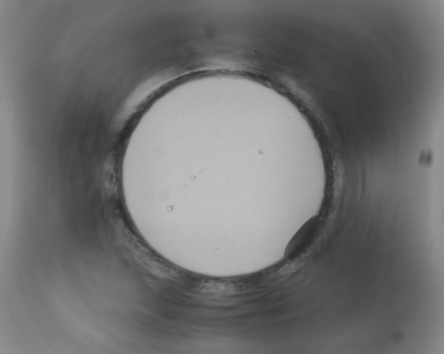 X0000113221215200910221117