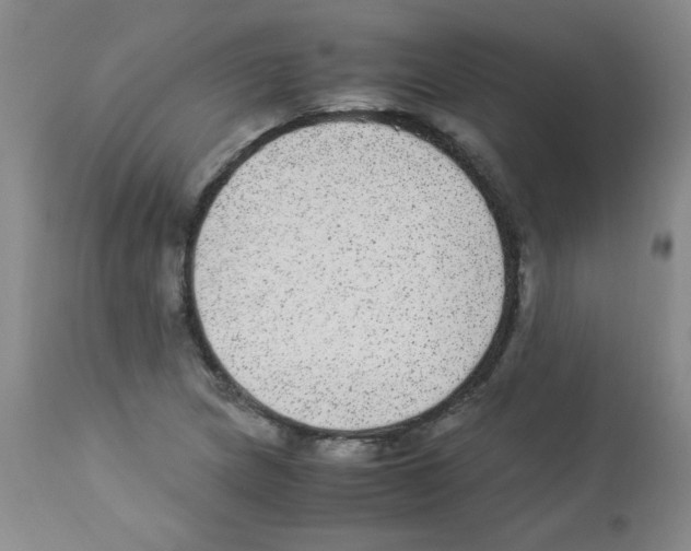 X0000113221217200910221117