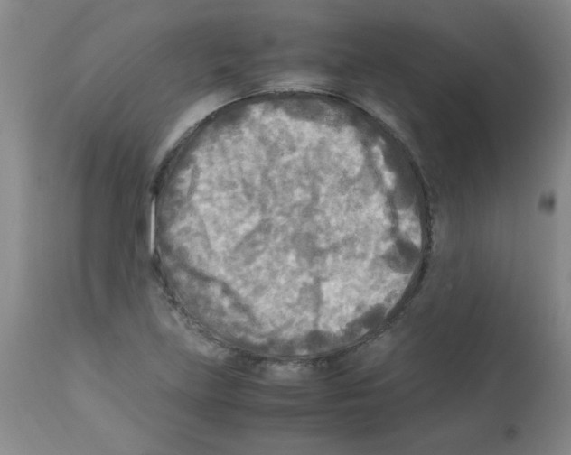 X0000113221219200910221117