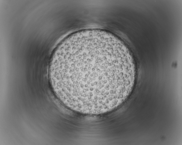 X0000113221220200910221117