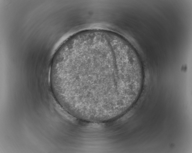 X0000113221224200910221117