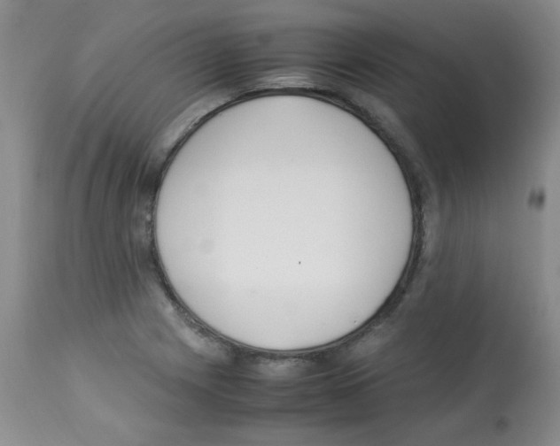 X0000113221225200910221117