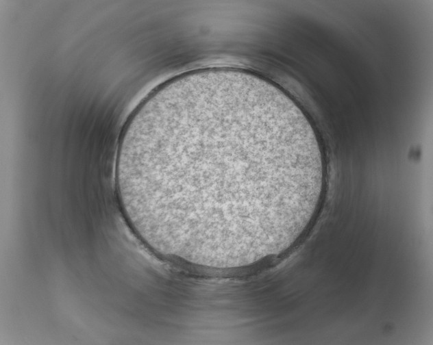 X0000113221228200910221118