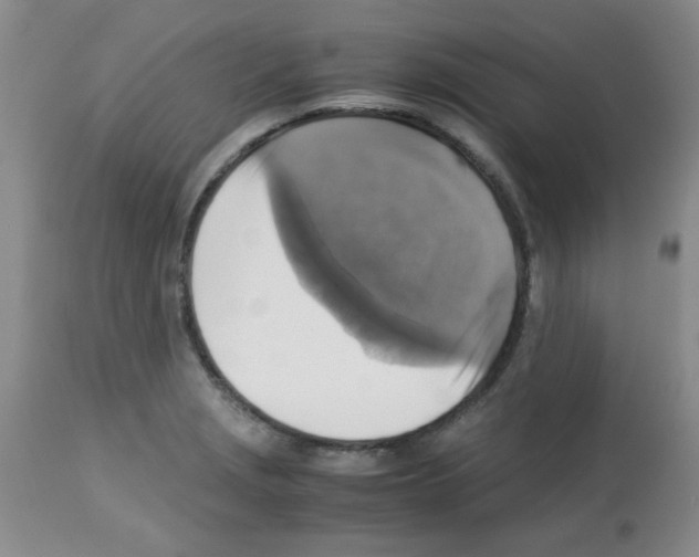X0000113221229200910221118