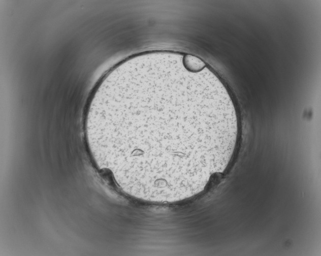 X0000113221230200910221118