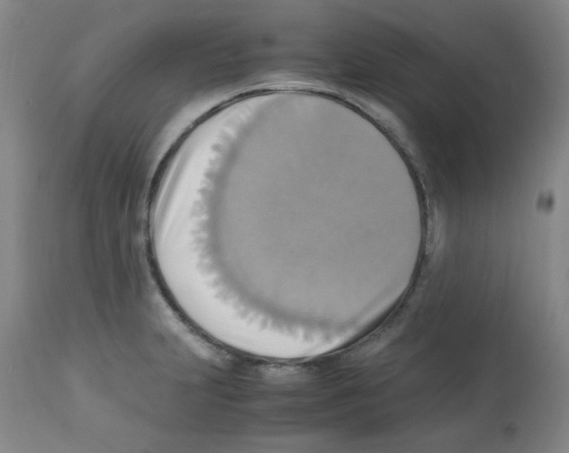 X0000113221231200910221118