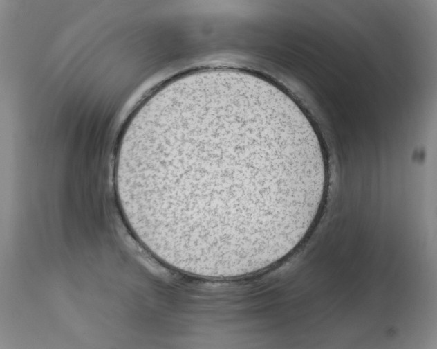 X0000113221232200910221118