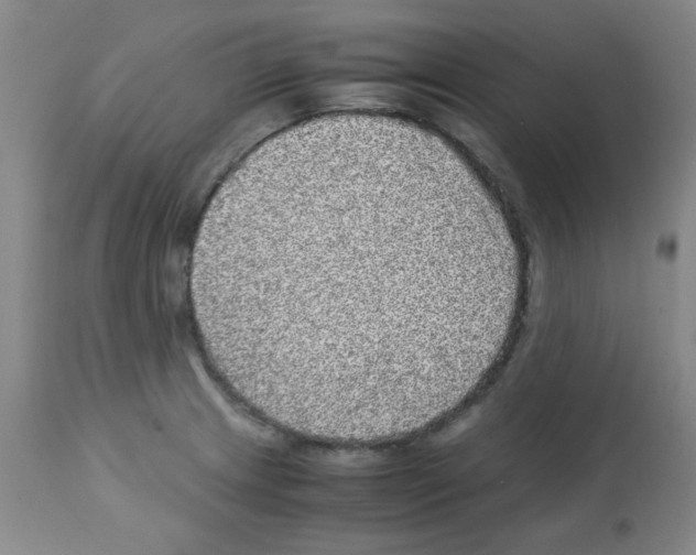 X0000113221233200910221118