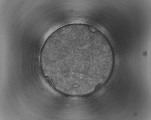 X0000113221234200910221118