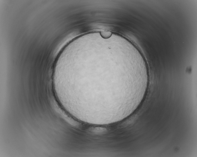 X0000113221235200910221118