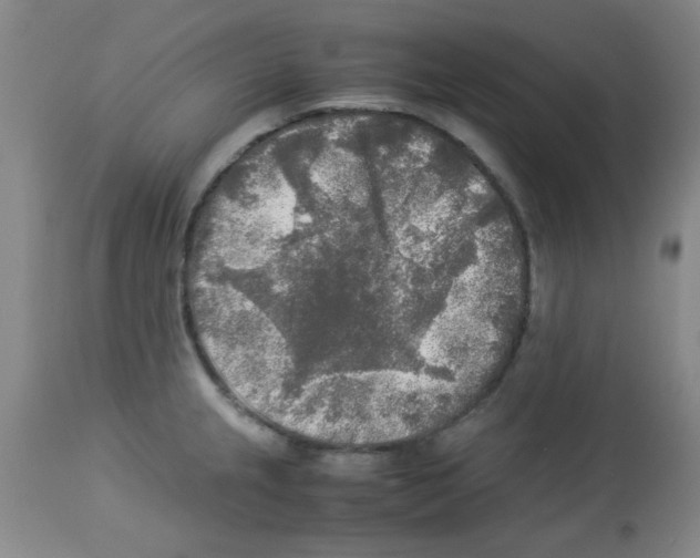 X0000113221237200910221118