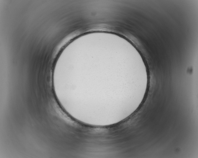 X0000113221238200910221118