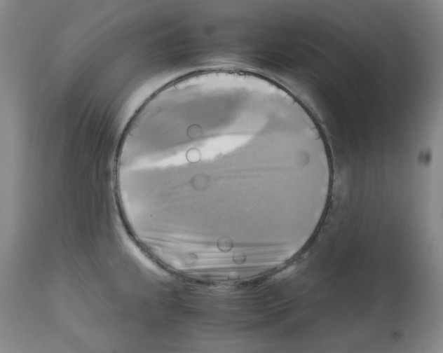 X0000113221239200910221118