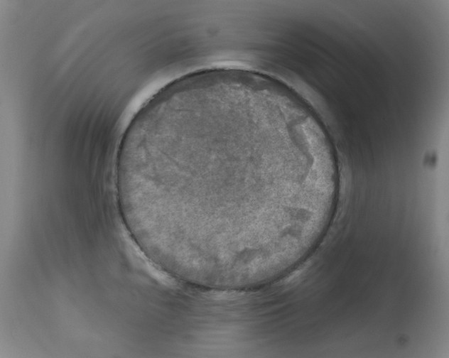 X0000113221240200910221118