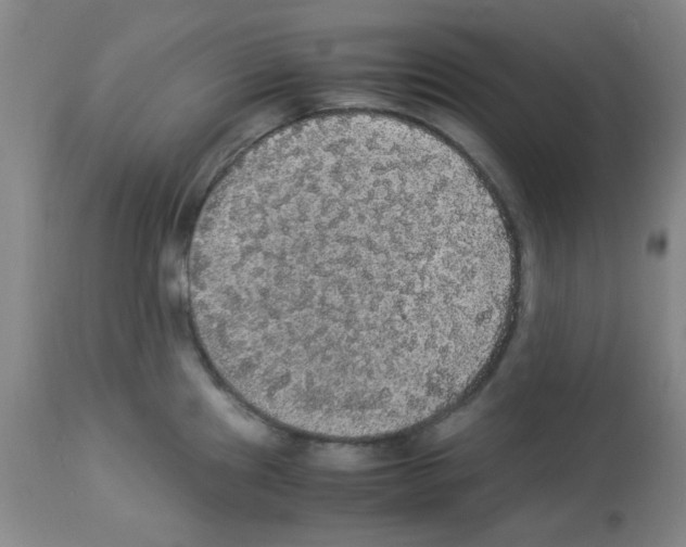 X0000113221241200910221118