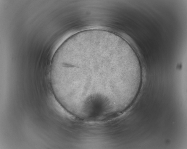 X0000113221244200910221118