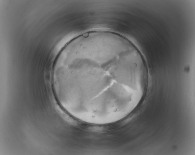 X0000113221245200910221118