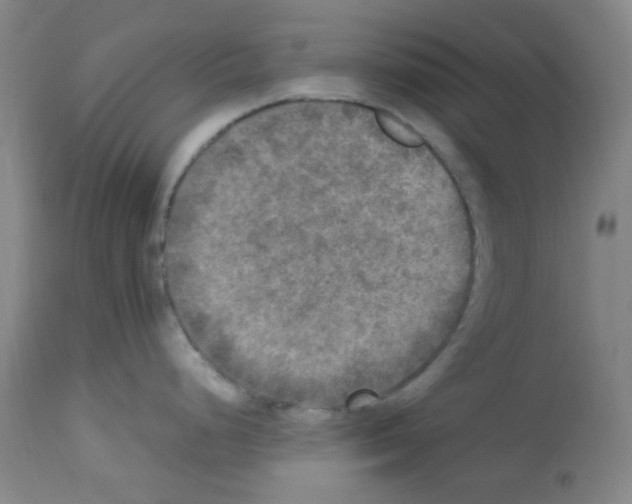 X0000113221248200910221118