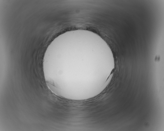 X0000113221249200910221117