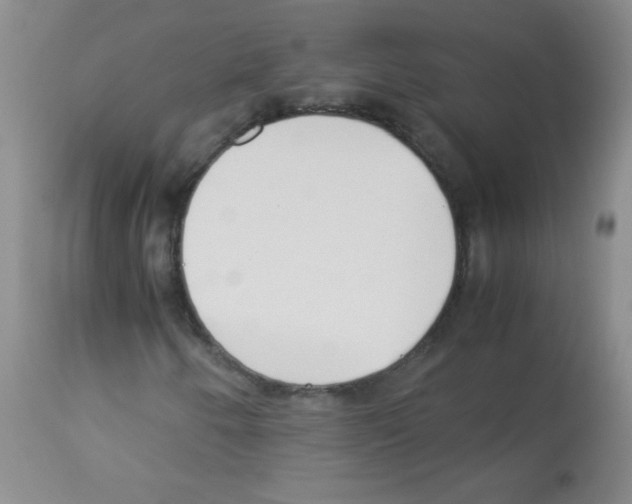X0000113221250200910221117