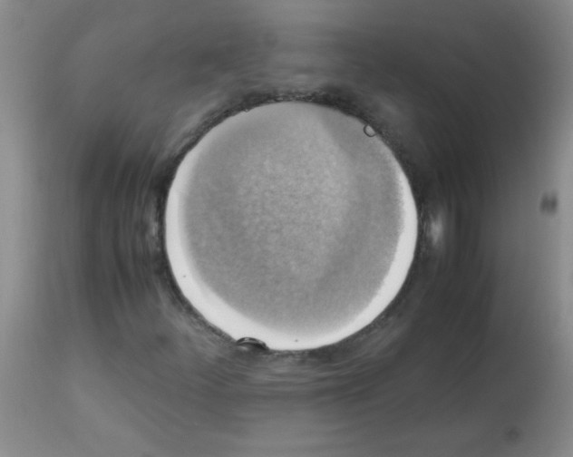 X0000113221252200910221117