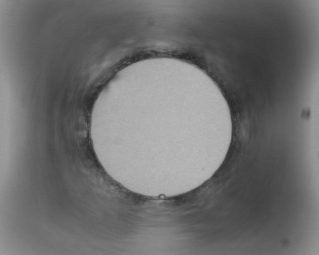 X0000113221253200910221117