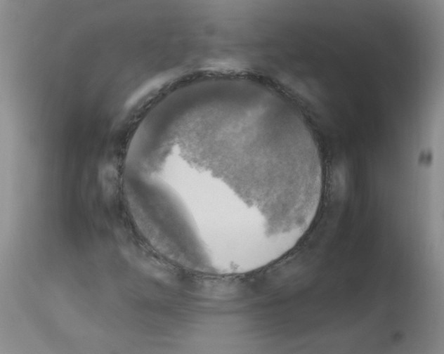 X0000113221254200910221117