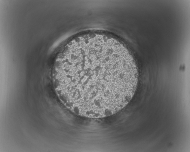 X0000113221255200910221117