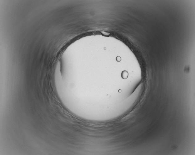 X0000113221257200910221117