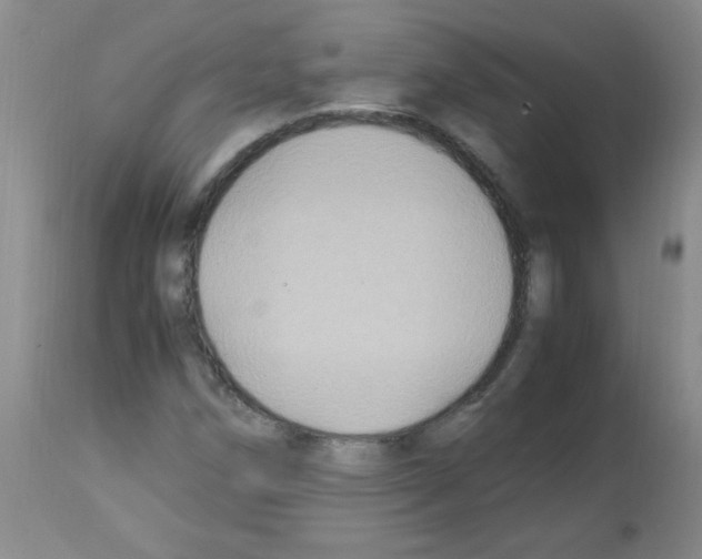 X0000113221258200910221117