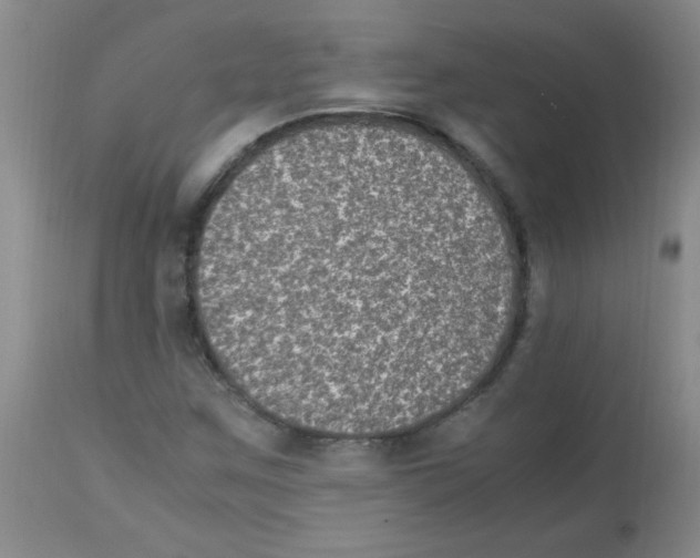 X0000113221259200910221117