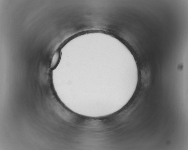 X0000113221260200910221117