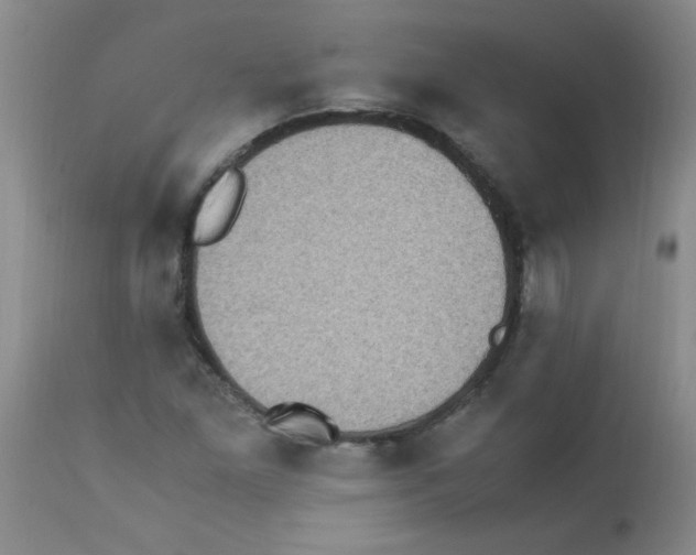 X0000113221261200910221117